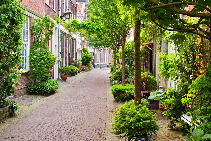 Historic Haarlem