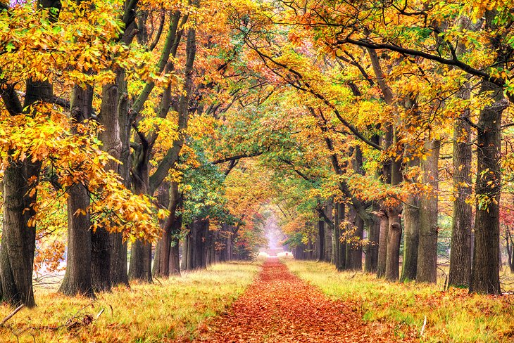 De Hoge Veluwe National Park