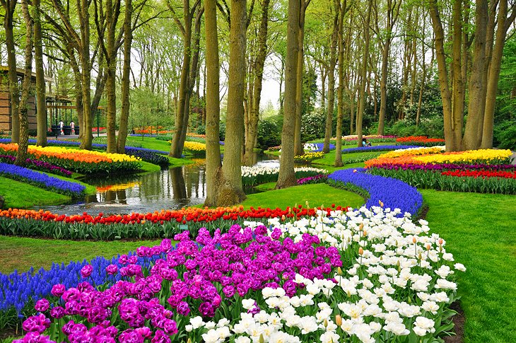 Keukenhof