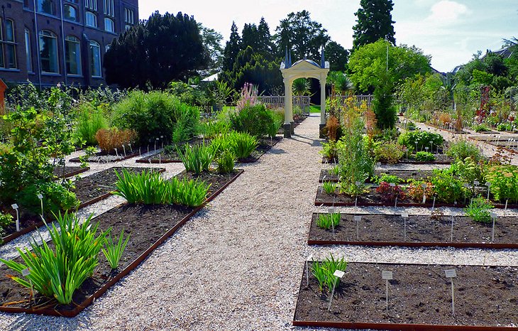 Hortus Botanicus Leiden