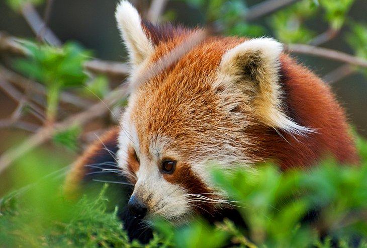 Rotterdam Zoo