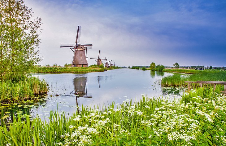 Kinderdijk's Windmills