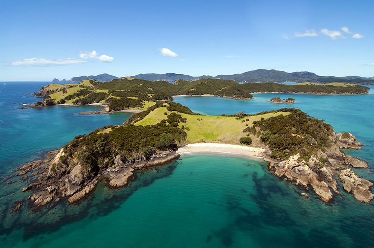 8 excursiones de un día mejor valoradas desde Auckland