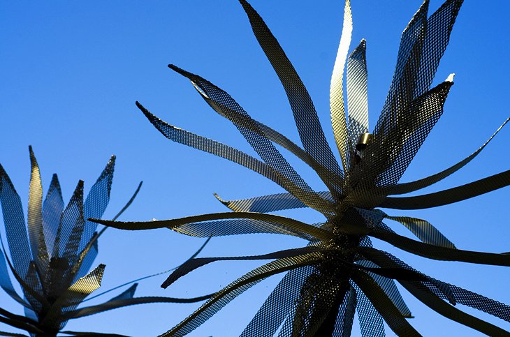 21 atracciones turísticas mejor valoradas en Auckland