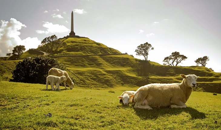 21 atracciones turísticas mejor valoradas en Auckland