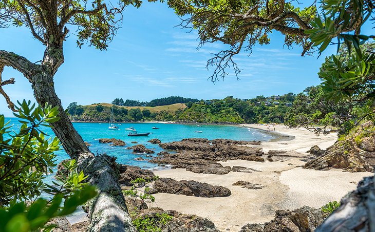 Waiheke Island