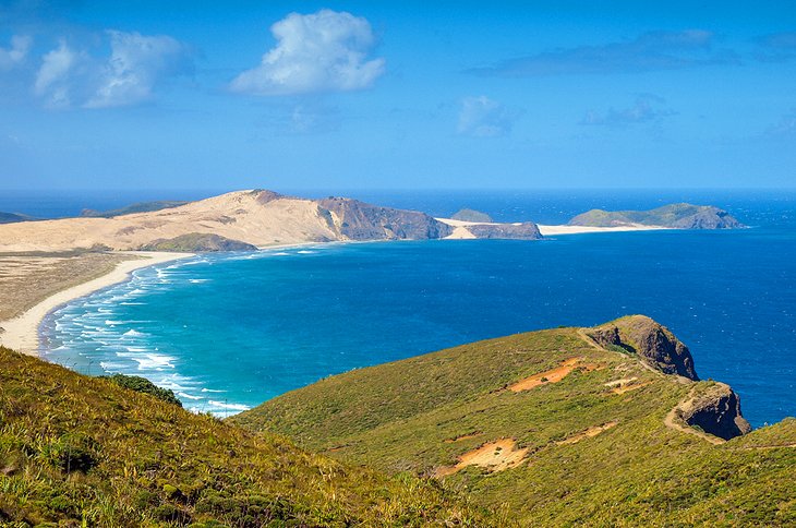 12 Atracciones Turísticas Mejor Calificadas en Bay of Islands