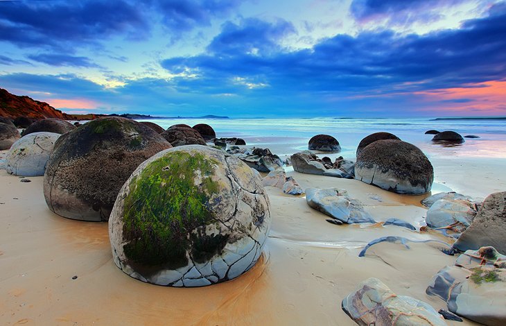 14 Top Rated Tourist Attractions In Dunedin Planetware