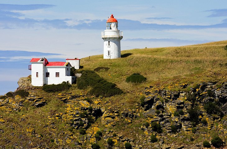 Taiaroa Head