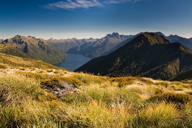 Kepler Track