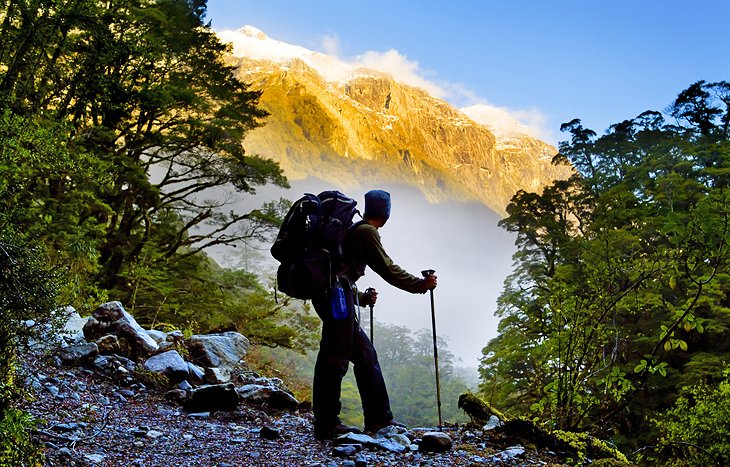 Milford Track