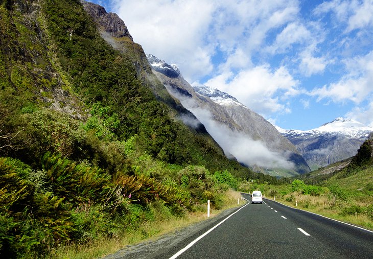 Driving in New Zealand