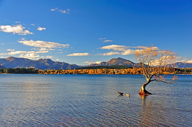 15 mejores cosas para hacer en Queenstown 15 mejores cosas para hacer en Queenstown