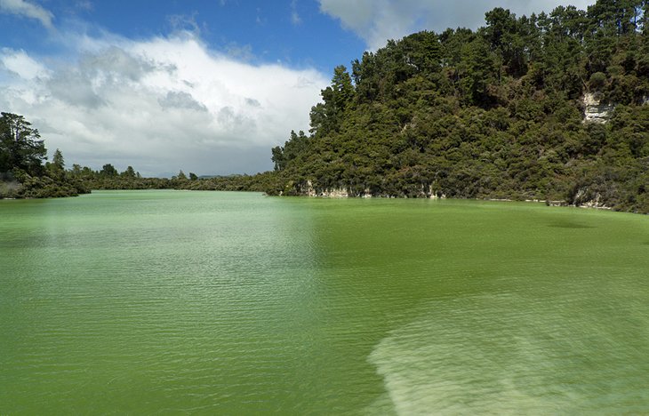 16 atracciones turísticas mejor valoradas en Rotorua
