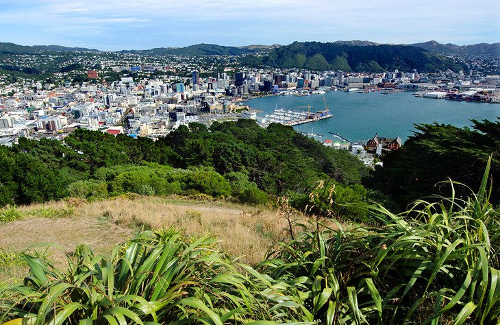 View from Mount Victoria