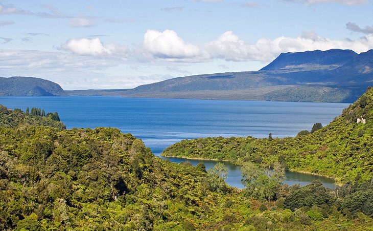 Tarawera Trail