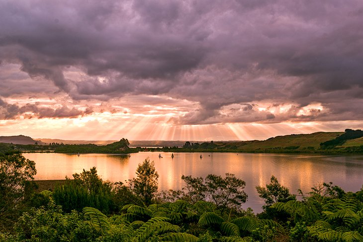 Mount Ngongotaha Scenic Reserve