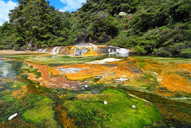 Wai-O-Tapu Thermal Wonderland