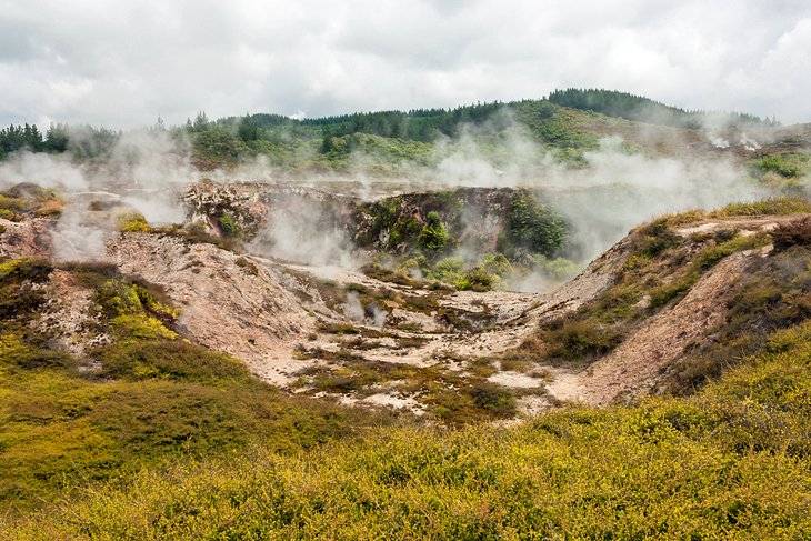 14 atracciones turísticas mejor valoradas en Taupo