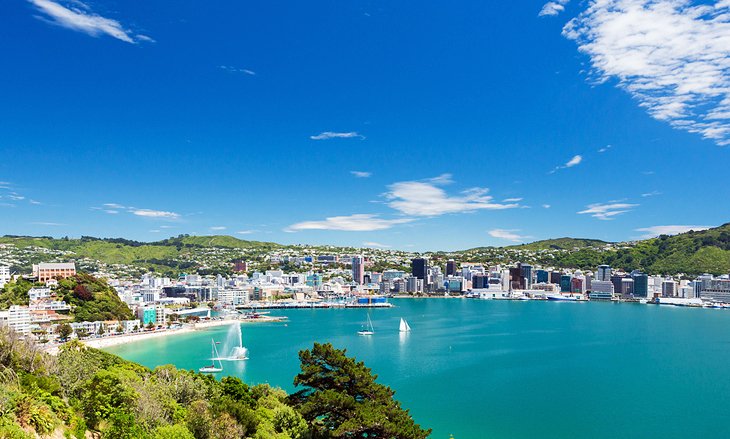 15 atracciones turísticas mejor valoradas en Wellington
