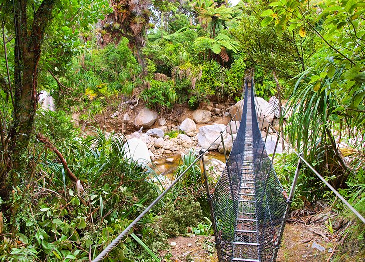 Heaphy Track