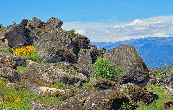 Parque Natural da Serra da Estrela