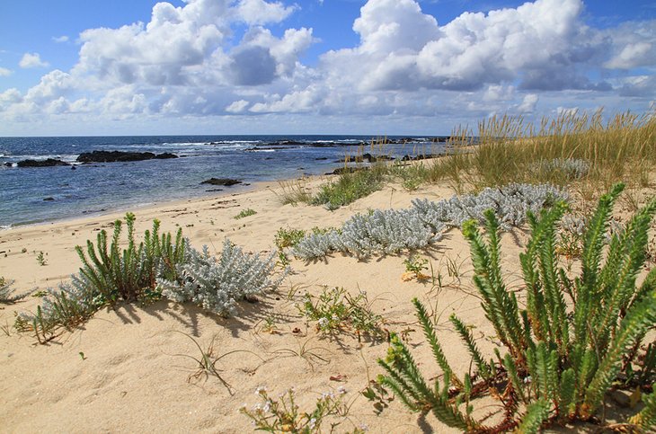 14 playas mejor valoradas en Portugal