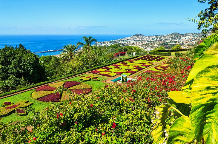 tourist information funchal madeira portugal