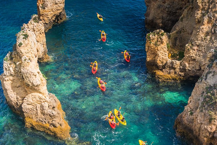 Kayak Tours along the Coast