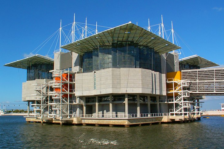 Oceanário de Lisboa: A Modern Aquarium