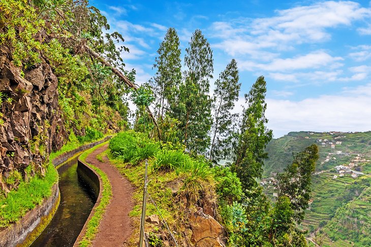 Levada Walks