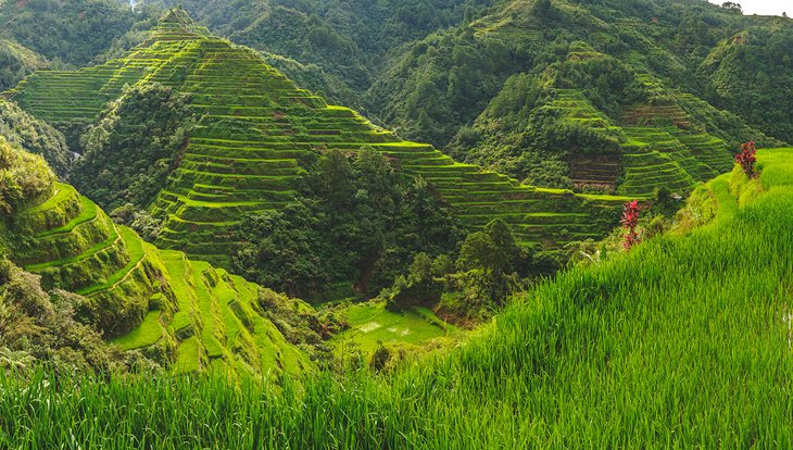 Batad Rice Terraces, Banaue