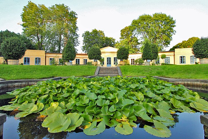 The Linnaeus Museum (Linnémuseet)