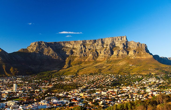 24 Top-Rated Attractions & Things to Do in Cape Town | PlanetWare