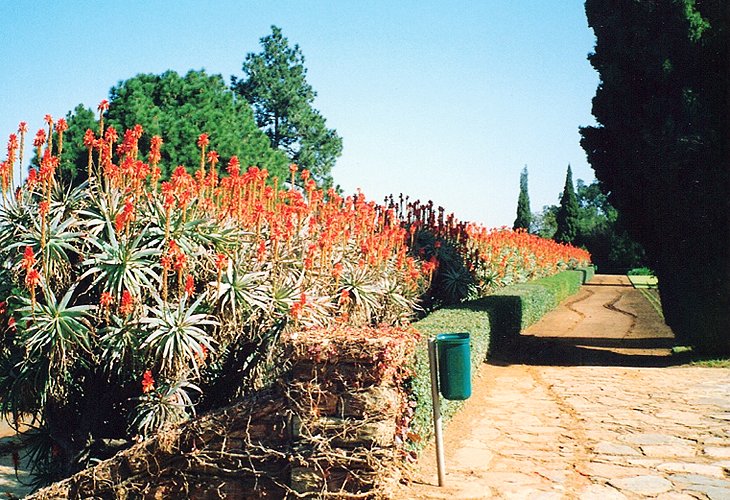 Pretoria National Botanic Garden, Gauteng