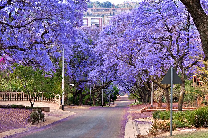 Pretoria