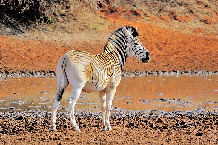 Mokala National Park