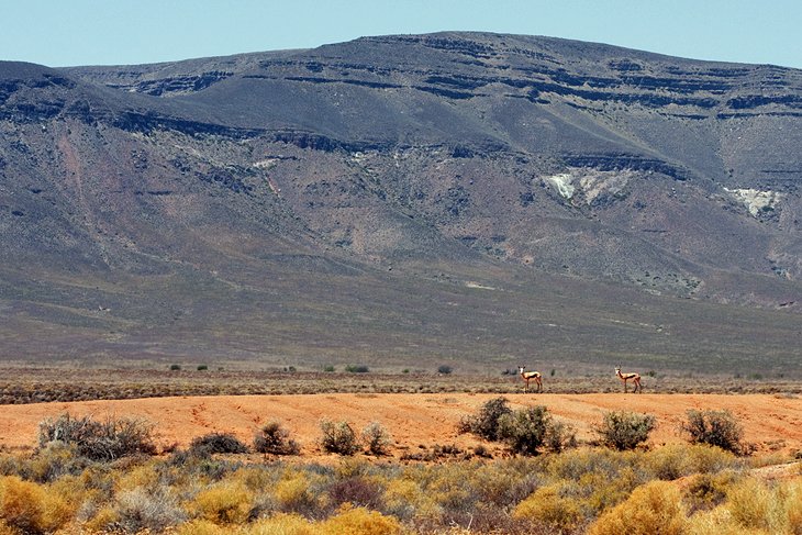 Tankwa Karoo National Park