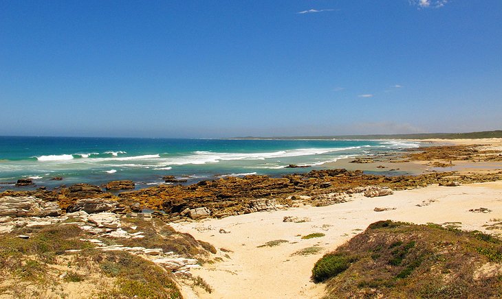 Cape Recife Nature Reserve