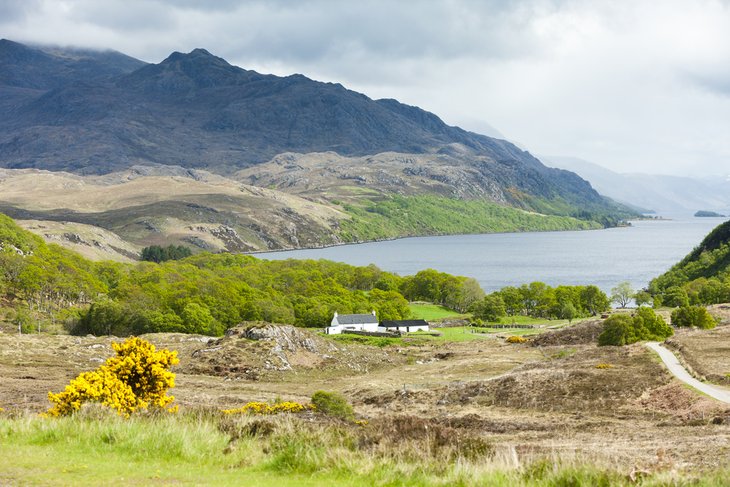 Loch Maree