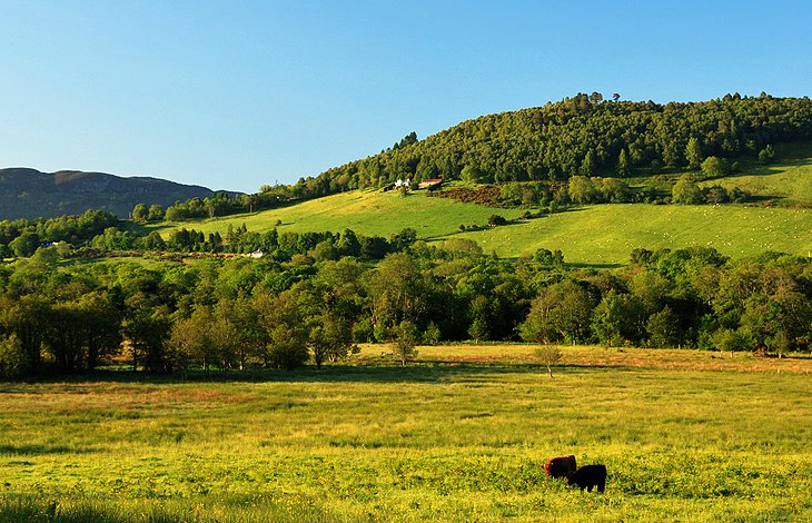 The Village of Drumnadrochit