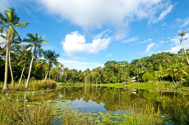 Pulau Ubin (Granite Island)