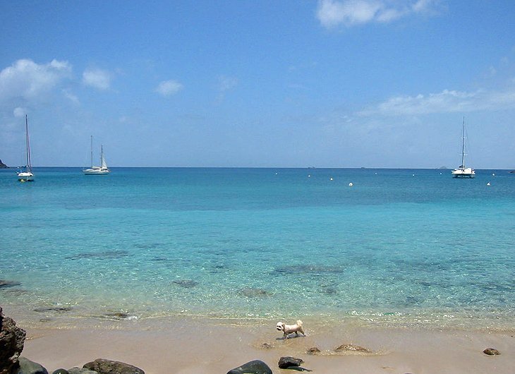 Colombier Beach (Anse de Colombier)