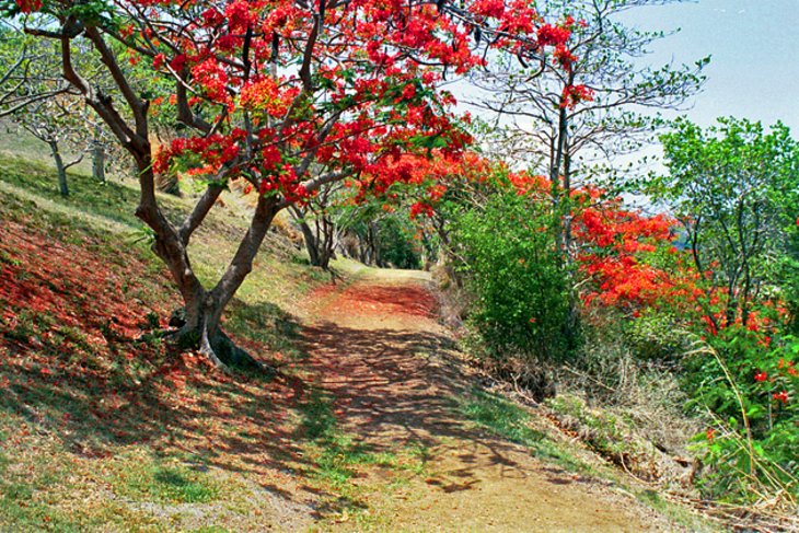 Tet Paul Nature Trail