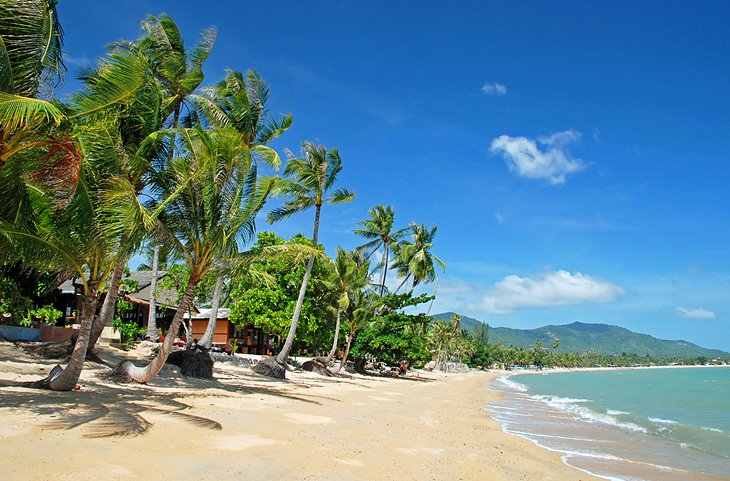 A Visitor's Guide to Koh Samui, Koh Phangan, and Surat Thani Province