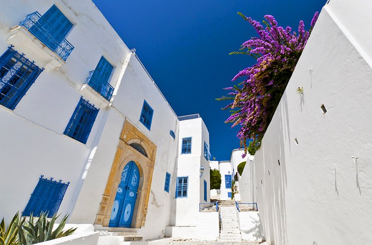 Sidi Bou Said - Street scene