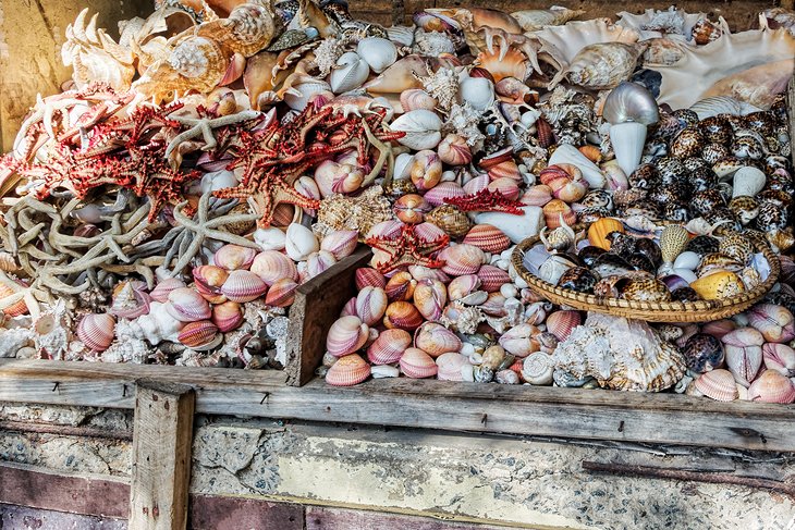 Kivukoni Fish Market