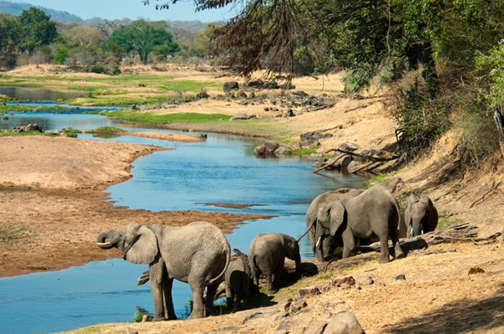 Must to visit 15 Top-Rated Tourist Attractions in Tanzania