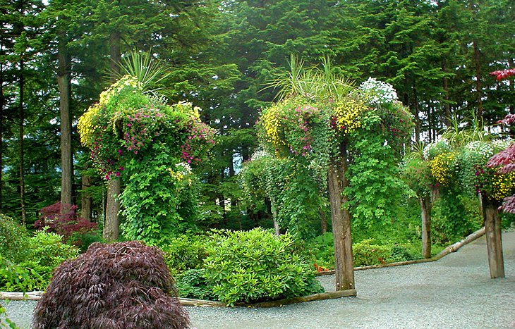 Tours de fleurs à Glacier Gardens Rainforest Adventure