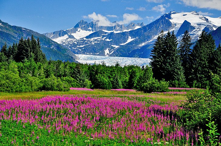 Mendenhall Glacier